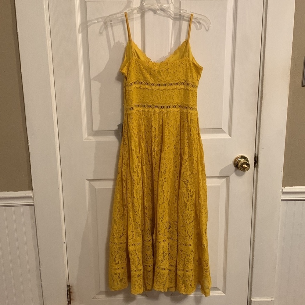 NEW NSR Lace Midi Dress - Picture 2 of 16